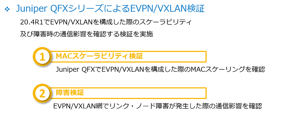 EVPN/VXLAN機能の検証